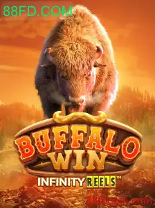 Descubra o Emocionante Mundo de BuffaloWin e 88FD.COM
